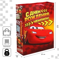 Пакет подарочный "С Днем рождения!" 23х27х11.5 см, упаковка, Тачки