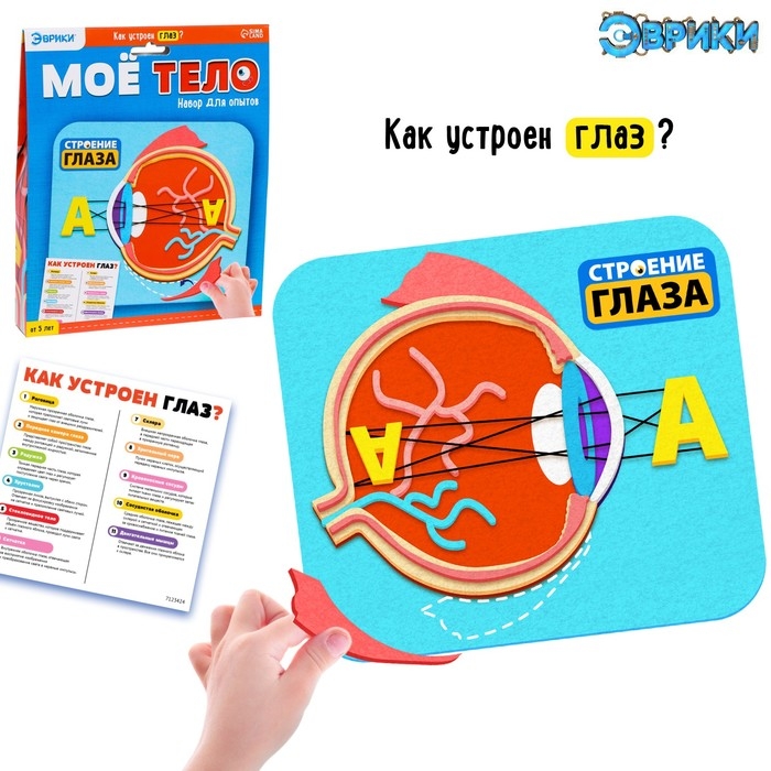 Набор для опытов «Моё тело», глаз Набор для опытов «Моё тело», глаз