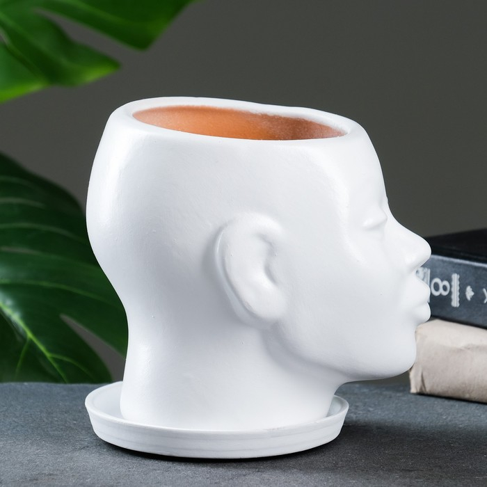 Горшок - органайзер  Горшок - органайзер "Голова" белый, 1,3 л / 16х16х14см