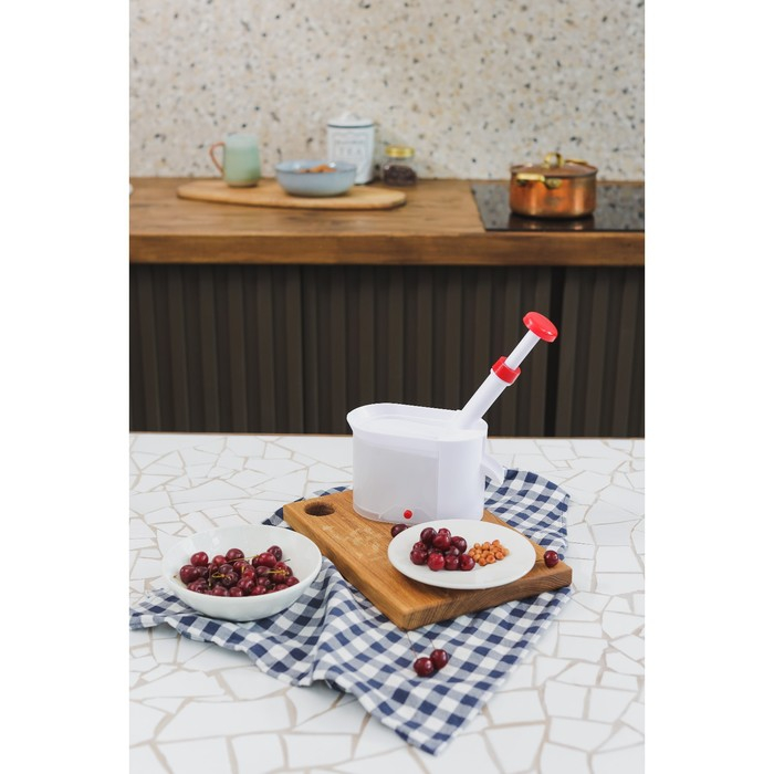 Машинка для удаления косточек из вишни Доляна «Вишнёвый сад», контейнер 450 мл, цвет белый Машинка для удаления косточек из вишни Доляна «Вишнёвый сад», контейнер 450 мл, цвет белый