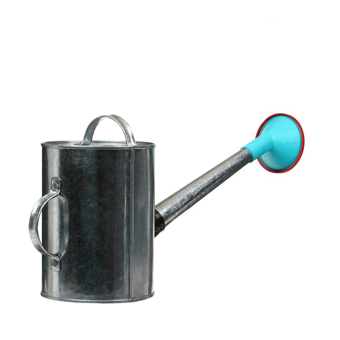 Лейка, 5 л, с рассеивателем, оцинкованная, без рисунка, носик d = 25 мм Лейка, 5 л, с рассеивателем, оцинкованная, без рисунка, носик d = 25 мм