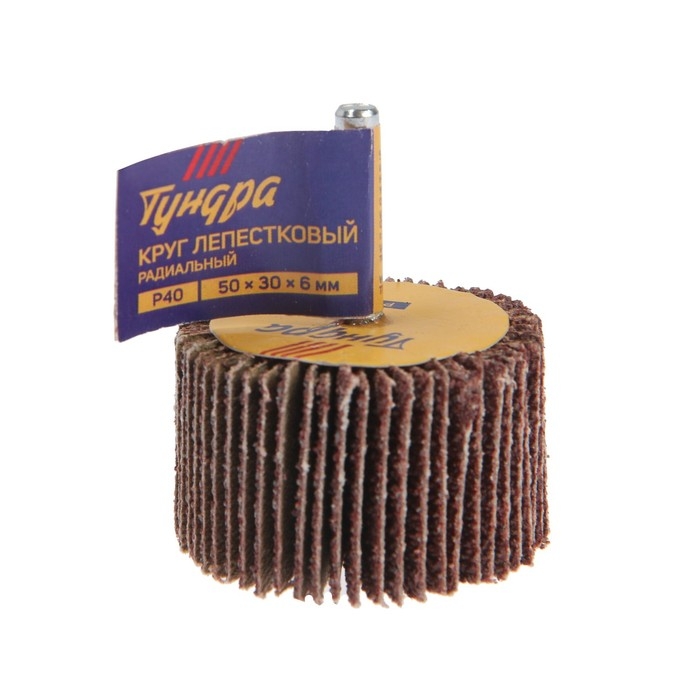 Круг лепестковый радиальный ТУНДРА, 50 х 30 х 6 мм, Р40 Круг лепестковый радиальный ТУНДРА, 50 х 30 х 6 мм, Р40