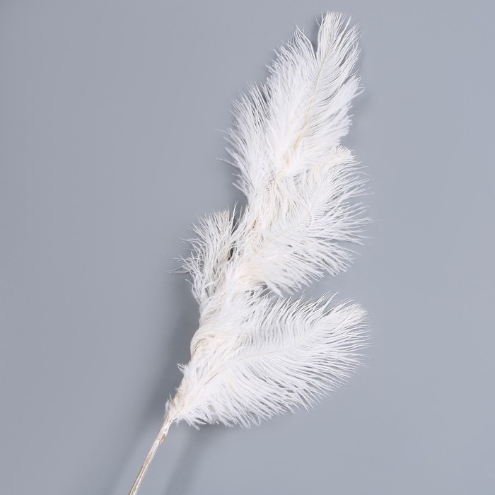 Декор из перьев &laquo;Фонтан&raquo; на ножке, высота &mdash; 58 см