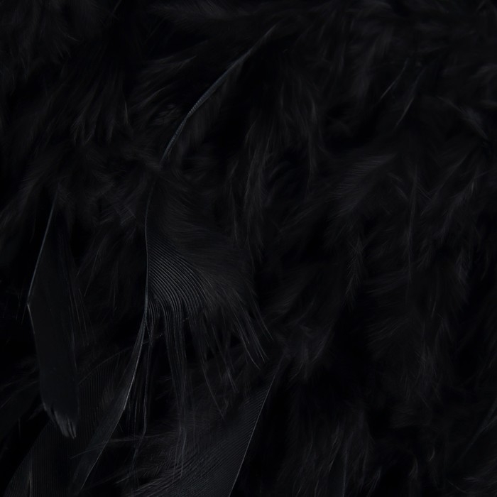 Тесьма с перьями индюка, 13-17 см, 5 ± 0,5 м, цвет чёрный Тесьма с перьями индюка, 13-17 см, 5 ± 0,5 м, цвет чёрный