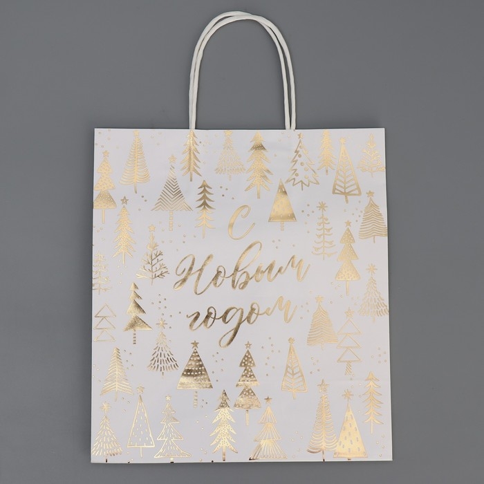 Пакет подарочный новогодний крафтовый «Новогодняя пора», 22 х 25 х 12 см, Новый год Пакет подарочный новогодний крафтовый «Новогодняя пора», 22 х 25 х 12 см, Новый год