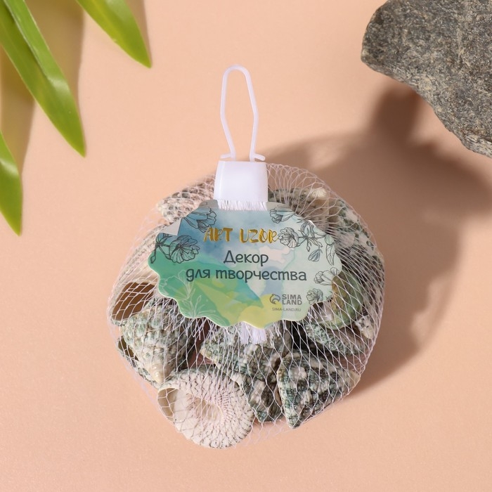 Ракушки природные декоративные "Дракон" набор 100 гр