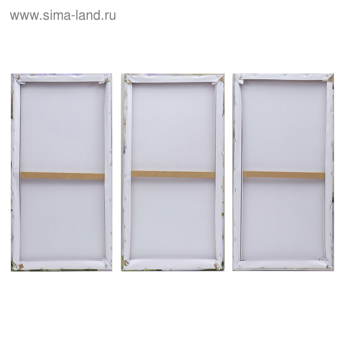 Картина модульная на подрамнике  Картина модульная на подрамнике "Розы" 99x65 см. (3-33х65)