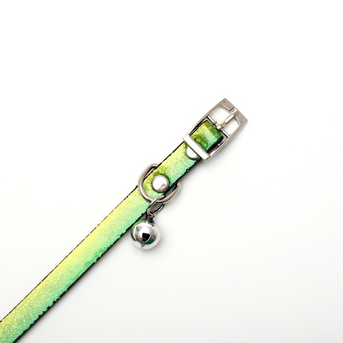 Ошейник лаковый Ошейник лаковый "Радуга", 30 х 1 см, микс