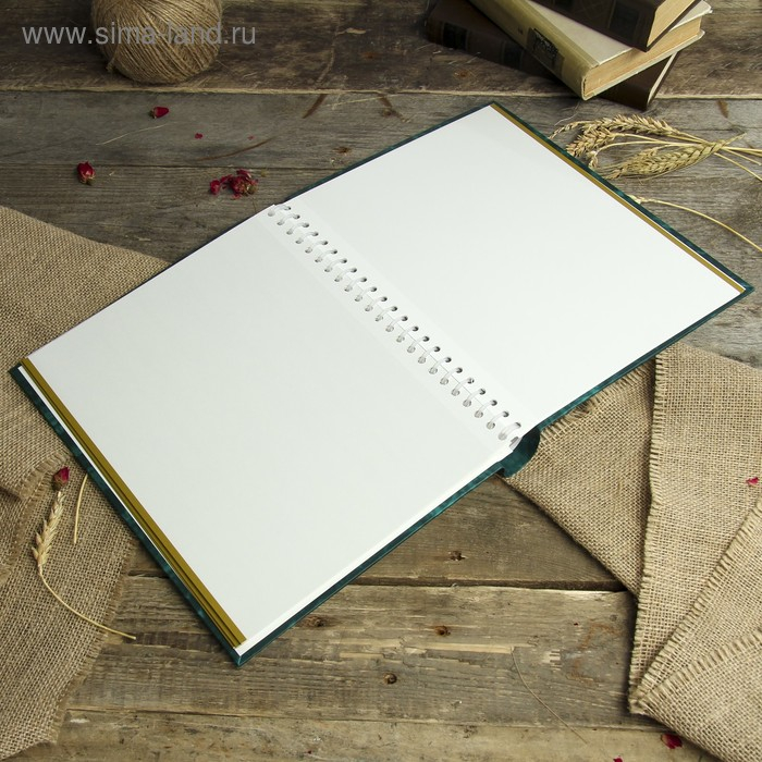 Фотоальбом магнитный 10 листов Image Art серия 146 классика 23х28 см МИКС Фотоальбом магнитный 10 листов Image Art серия 146 классика 23х28 см МИКС