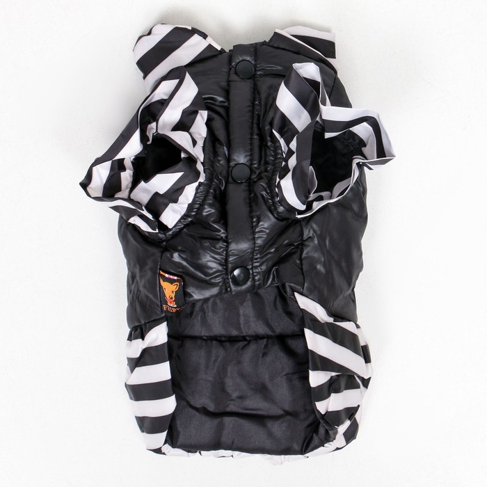 Курточка для собак с воланами, размер 5 (ДС 39,ОШ 38, ОГ 49 см), чёрная Курточка для собак с воланами, размер 5 (ДС 39,ОШ 38, ОГ 49 см), чёрная