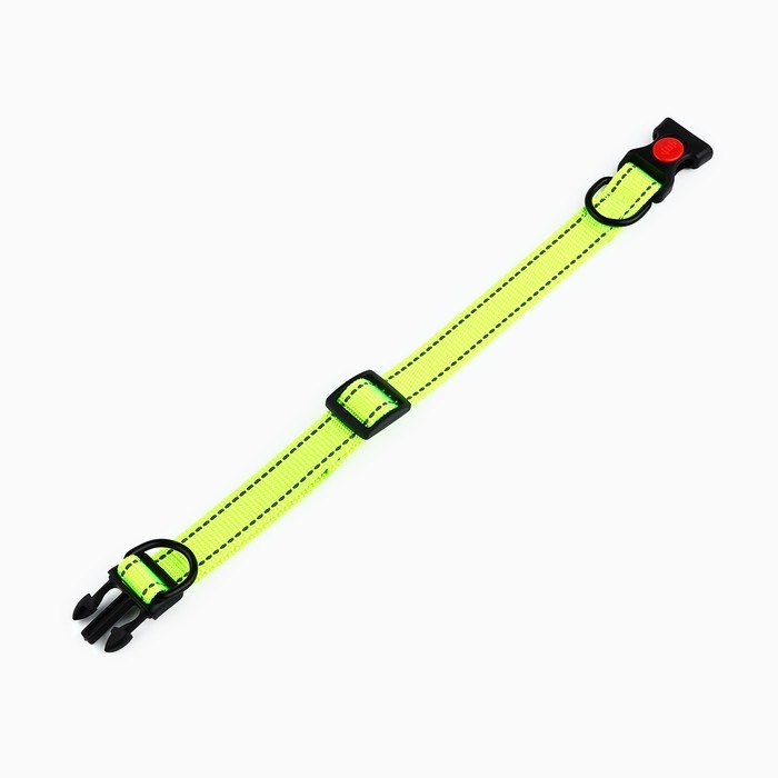 Ошейник из нейлона с фастексом 2,5 см, ОШ 31-48 см, зелёный Ошейник из нейлона с фастексом 2,5 см, ОШ 31-48 см, зелёный