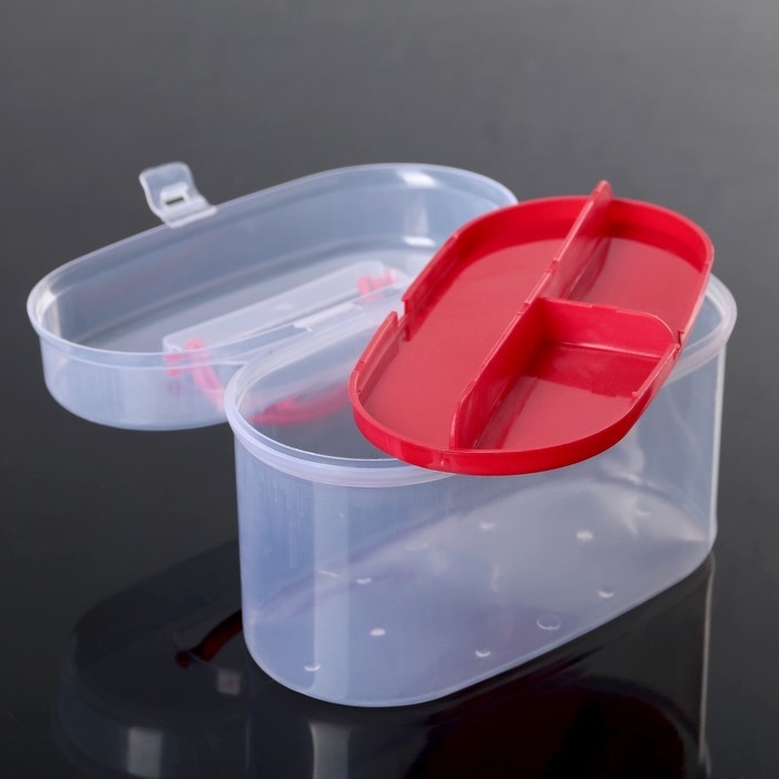 Органайзер для хранения со вставкой, 15×7,5×10 см, цвет МИКС