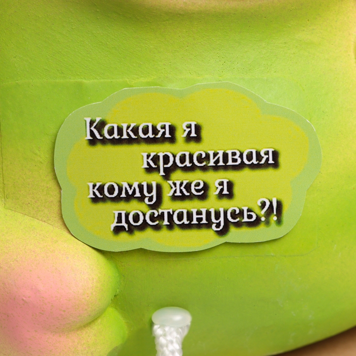 Копилка Копилка "Лягушка - Какая я красивая кому же я достанусь?!" зеленая, 19см