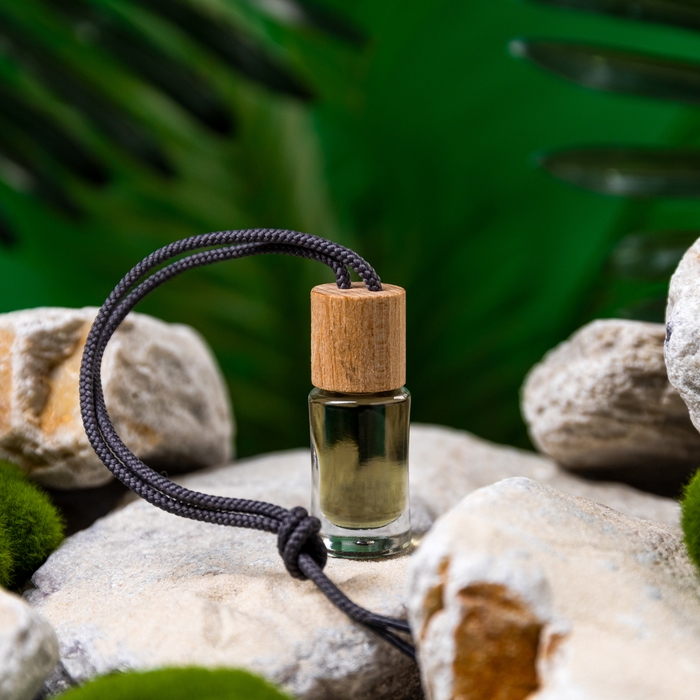 Набор ароматизаторов для авто Grand Caratt, спрей, бутылочка, картон, Земля Набор ароматизаторов для авто Grand Caratt, спрей, бутылочка, картон, Земля