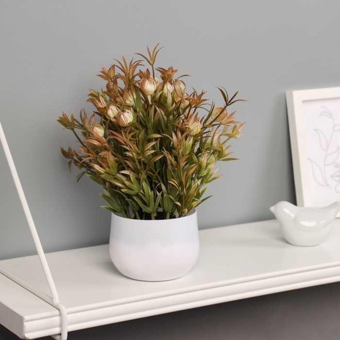 Бонсай в горшке Бонсай в горшке "Цветы луковичные" 21х9 см, микс