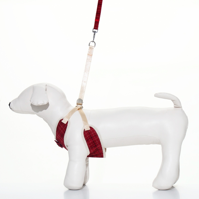 Комплект с мягкой шлейкой  Комплект с мягкой шлейкой "Клетки", размер S, поводок, 120 х 1,5 см, ОГ 28-62 см, красный