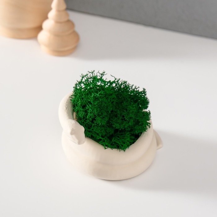 Сувенир мини  Сувенир мини "Змея" крученая со мхом белая 7х6х4 см (мох зелен стабил)
