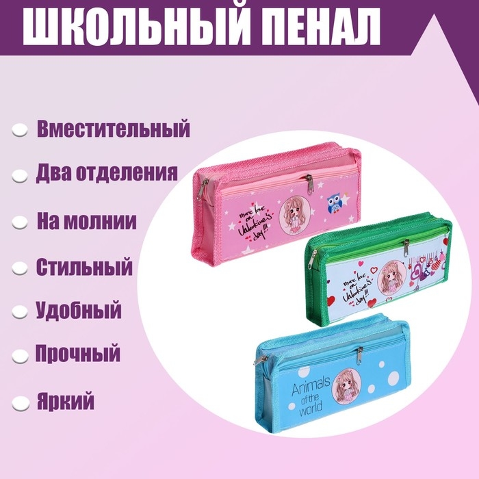 Пенал школьный Пенал школьный "Аниме" на молнии, 2 отделения, МИКС