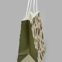 Пакет подарочный &laquo;Ирония судьбы, С новым годом&raquo;, Мосфильм, 22&times;22&times;11 см, крафт