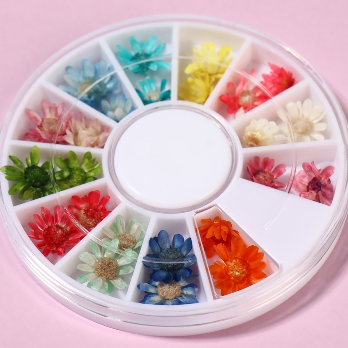 Сухоцветы для декора ногтей «Ромашки», объёмные, 12 видов, в футляре, разноцветные