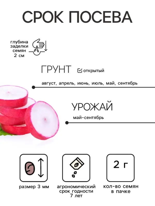 Семена Редис "Илке" "Лидер", 2 г    ,