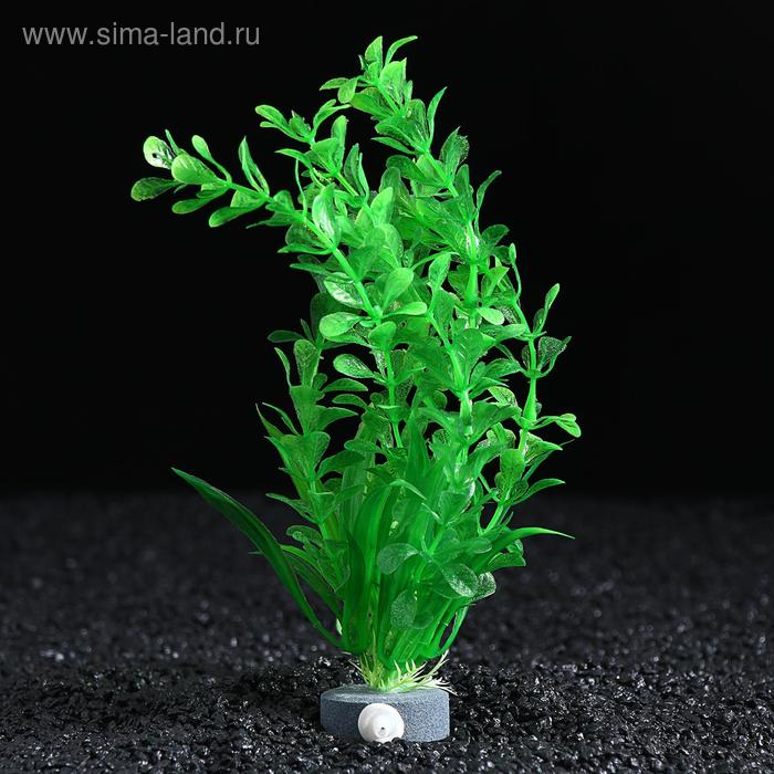 Растение искусственное Растение искусственное