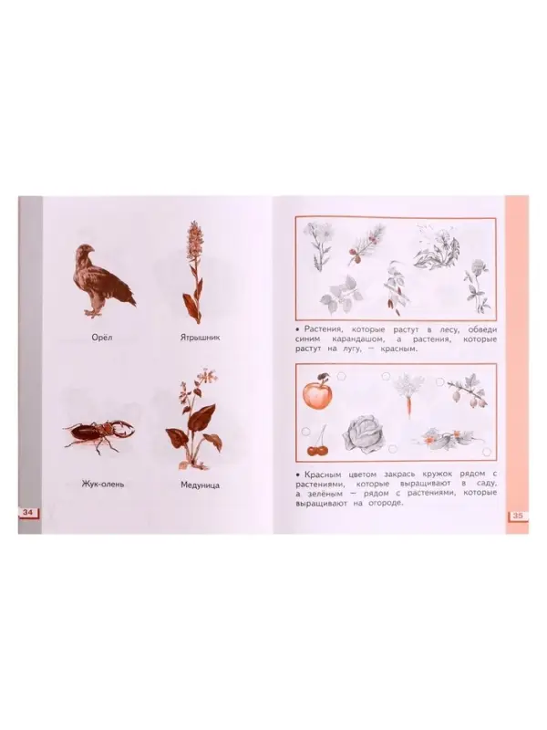 Рабочая тетрадь &laquo;Окружающий мир №2&raquo;, новое оформление, 1 класс, Ивченкова Г.Г., ФГОС