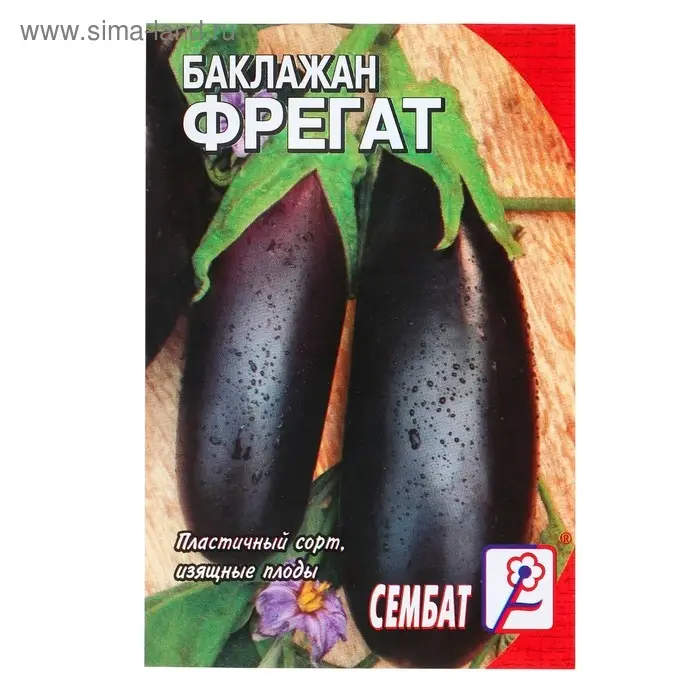 Семена Баклажан  Семена Баклажан "Фрегат", 0,5 г