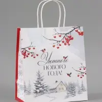 Пакет подарочный крафтовый &laquo;Уютного нового года&raquo;, 22&times;25&times;12 см