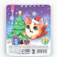 Набор: блокнот и мини ручка, 32 листа "Кругляши" Набор: блокнот и мини ручка, 32 листа "Кругляши"