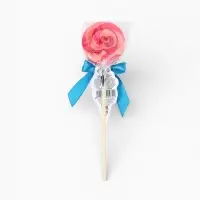 Леденец на палочке &laquo;Самой красивой&raquo;, вкус: малина, 15 г