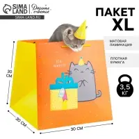 Пакет подарочный квадратный, упаковка, &laquo;Котик и тортик&raquo;, 30&times;30&times;30 см