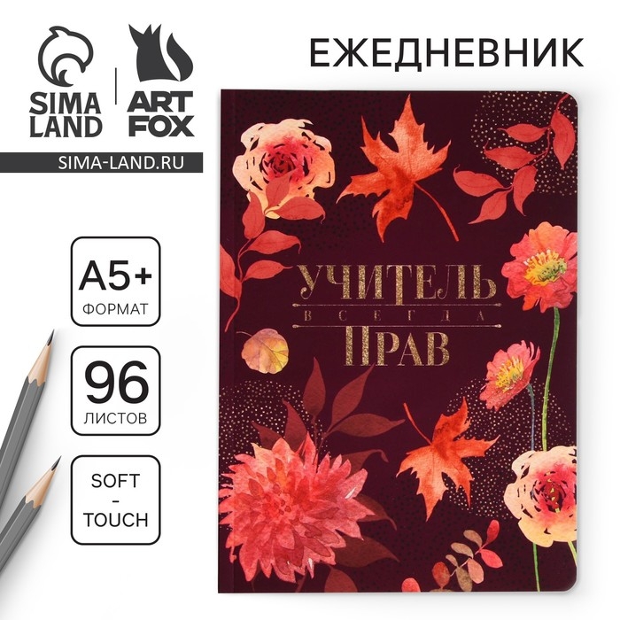 Большой ежедневник &laquo;Учителю: Учитель всегда прав&raquo; soft-touch, формат А5+, 96 листов, мягкая обложка, линейка