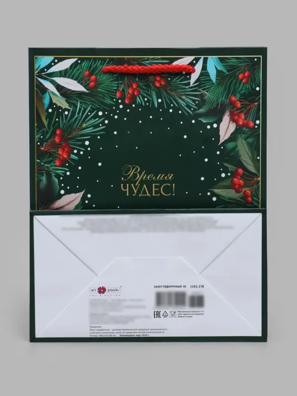 Пакет подарочный ламинированный &laquo;Время чудес!&raquo;, MS 18&times;22.3&times;10 см