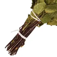 Веник для бани, берёзовый, 50 см, упаковка МИКС