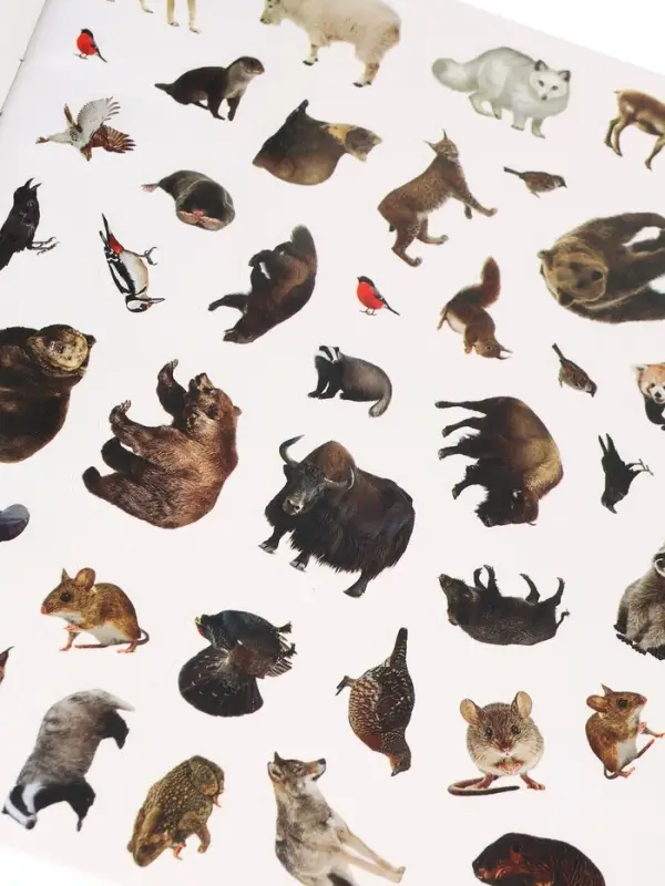 Stickerbook Animals 500stickers inside Stickerbook Animals 500stickers inside