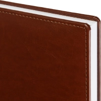 Ежедневник недатированный коричн, А5, 148x218, 352стр, Agenda