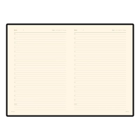 Ежедневник недатированный А5 145 х 210 мм Prestige тем-кор.320 стр.3-352/07