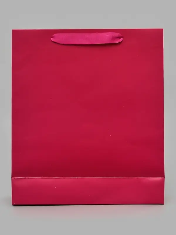 Пакет подарочный &laquo;Подарок&raquo;, голография, М 26&times;30&times;9 см