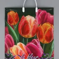 Пакет "Яркие тюльпаны, полиэтиленовый с вырубной ручкой, пласт. 38х44 см, 90 мкм