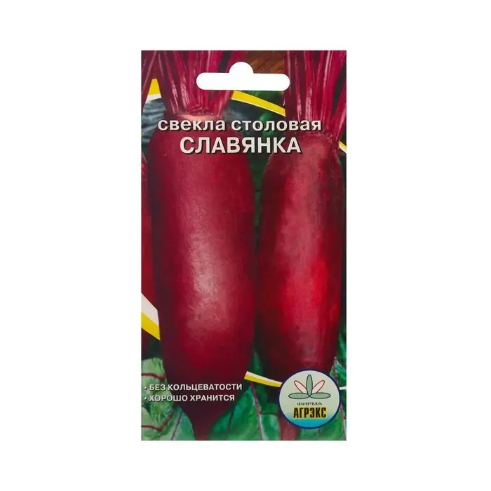 Семена Свекла Семена Свекла "Славянка ", 2 г