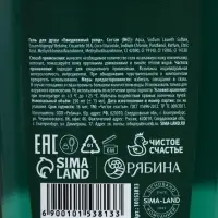Гель для душа мужской &laquo;С 23 Февраля!&raquo;, 250 мл, аромат мяты и лайма, Чистое счастье