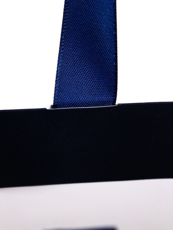 Пакет подарочный «Синий», 28×20×10 см