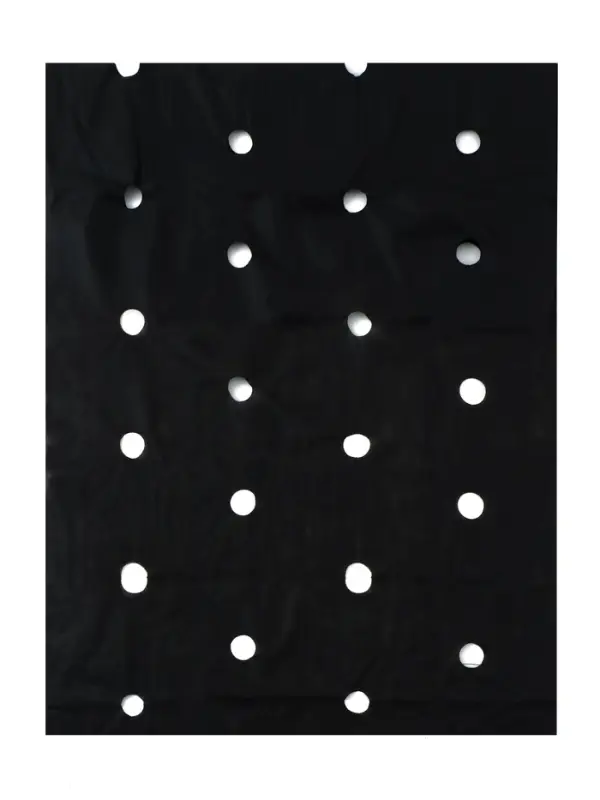 Материал мульчирующий, с перфорацией (4 ряда), 20&times;1.6 м, плотность 80 г/м&sup2;, спанбонд с УФ-стабилизатором, чёрный, Greengo, Эконом 30%