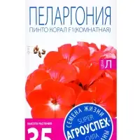 Семена цветов Пеларгония "Пинто Корал", F1, 4 шт