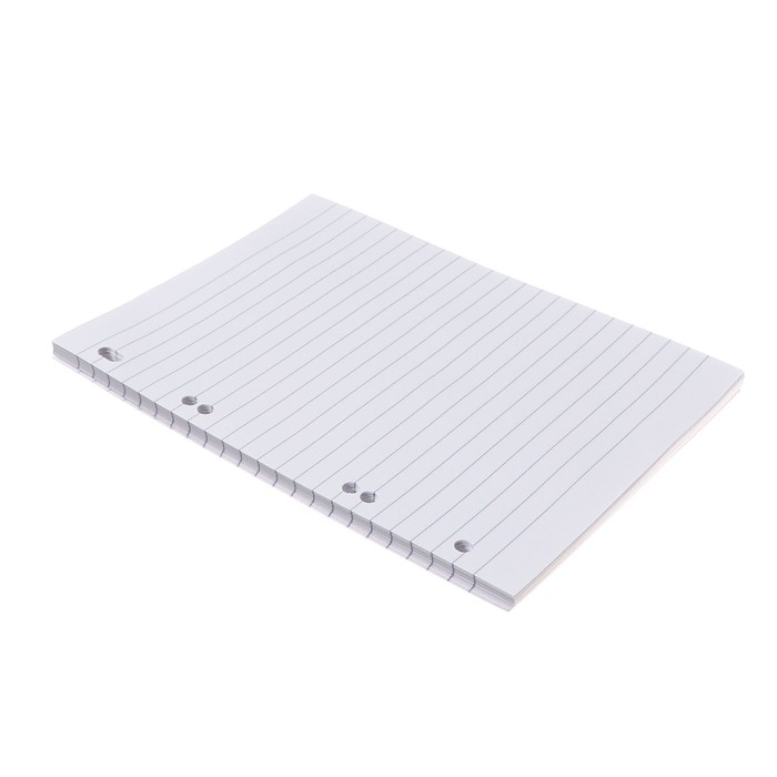 Сменный блок для тетрадей на кольцах А5, 80 листов в линейку, в индивидуальной упаковке, блок 60 г/м2 Сменный блок для тетрадей на кольцах А5, 80 листов в линейку, в индивидуальной упаковке, блок 60 г/м2