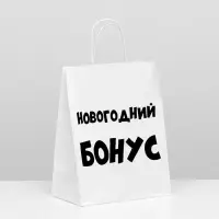 Пакет подарочный с приколами, крафт «Новогодний бонус», белый, 24×14×30 см