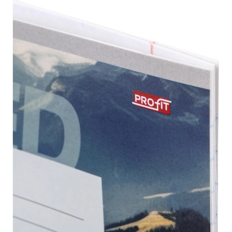 Тетрадь линия 12л. Авто и пэйзаж, ассорти, 2 (12-5571)