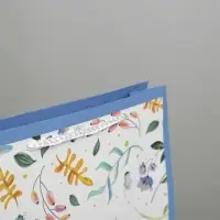 Пакет подарочный ламинированный, упаковка, Best wishes, ML 21&times;25&times;8 см