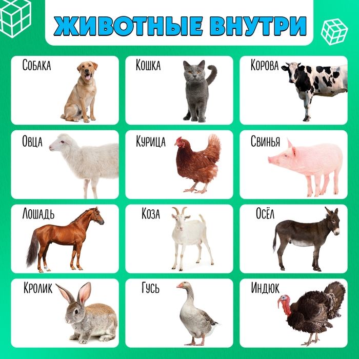 Развивающий трансформер «Умникуб: Домашние животные», 3+ Развивающий трансформер «Умникуб: Домашние животные», 3+